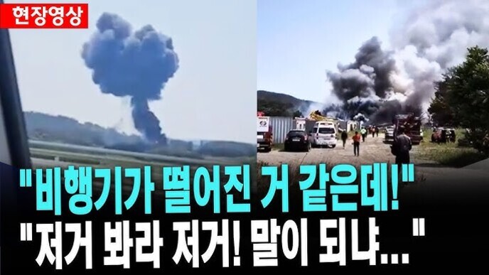비행기 추락 사고 현장으로 보이는 곳에서 검은 연기가 크게 피어오르고 있으며, 하단에는 '비행기가 떨어진 거 같은데!', '저거 봐라 저거! 말이 되냐...'라는 자막이 있다.