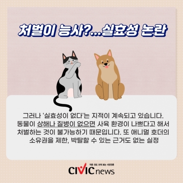 '처벌이 능사?...실효성 논란'이라는 제목과 함께, 고양이와 강아지 일러스트가 그려져 있으며 동물 학대 처벌 실효성에 대한 지적을 설명하는 한국어 텍스트가 포함된 카드 뉴스 이미지