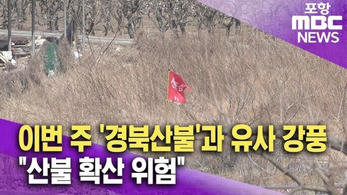 나뭇가지가 많은 산 중턱에 빨간색 '산불' 경고 깃발이 꽂혀 있고, 화면 하단에는 노란색과 흰색 글씨로 '이번 주 경북산불과 유사 강풍', '산불 확산 위험'이라는 자막이 있으며 오른쪽 위에는 포항 MBC NEWS 로고가 있다.