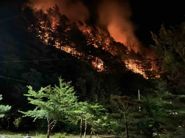 밤에 산불로 인해 나무들이 불타고 있는 모습