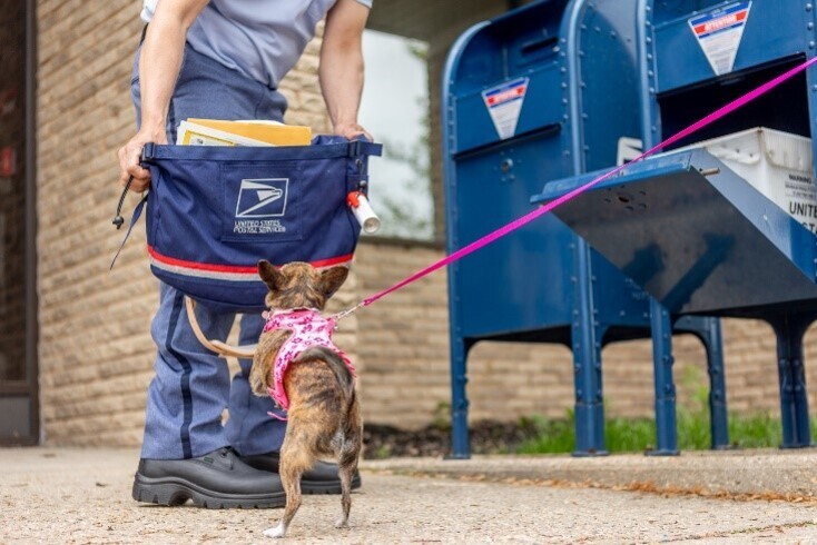 작은 개가 분홍색 목줄을 하고 우체부의 가방 쪽으로 다가가는 장면. 배경에는 파란색 우체통이 있다.