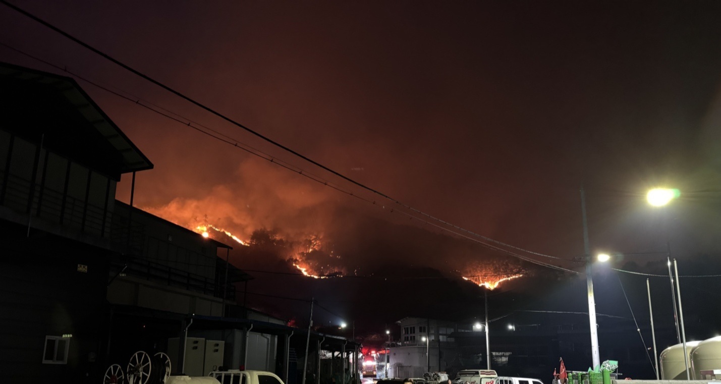 야간에 산불이 발생하여 불길과 연기가 산 전체에 번지고 있으며, 아래에는 건물과 차량들이 보인다.