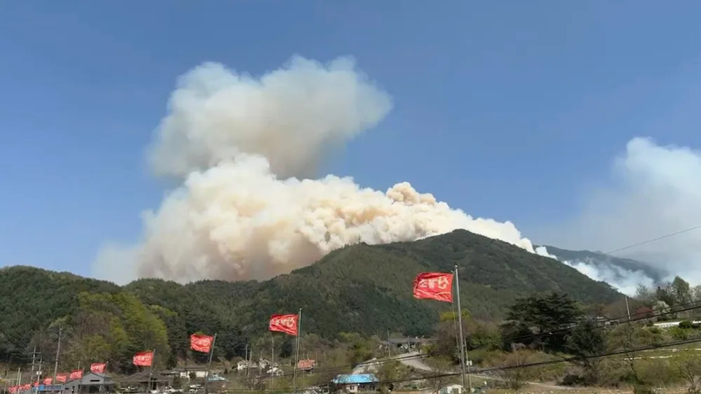 산에서 큰 산불이 발생해 연기가 하늘로 치솟고 있으며, 전경에는 빨간 깃발들이 펄럭이고 있다.