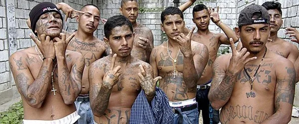 상반신에 문신이 많은 남성 여러 명이 벽 앞에서 포즈를 취하고 있다.